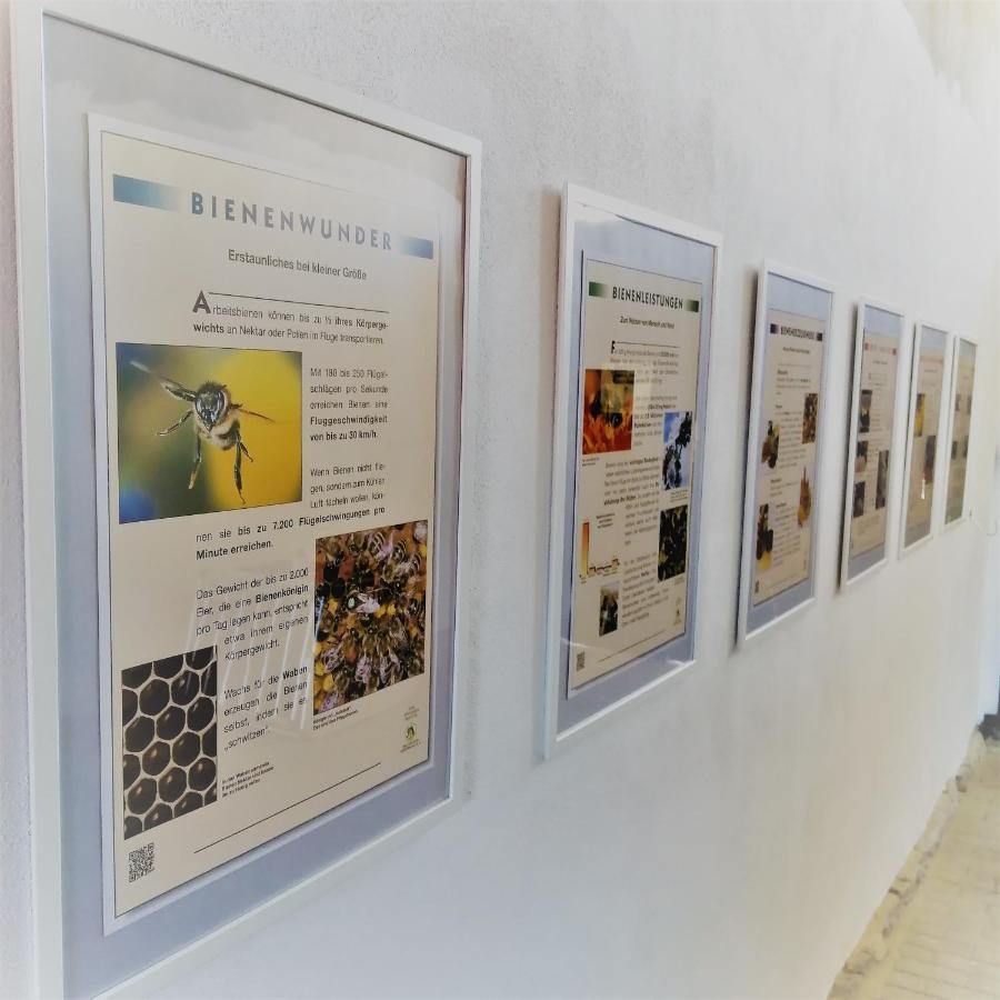 Gaestequartier Mittendrin In Coswig  Ngoại thất bức ảnh